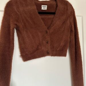 Aritzia Brown V-Neck Sweater